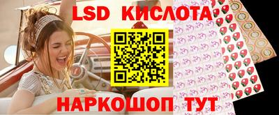 мяу мяу мука Аргун