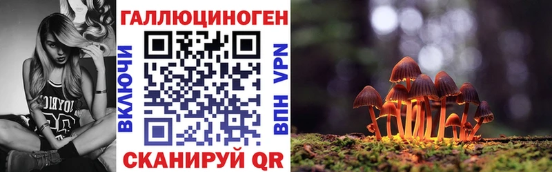 Псилоцибиновые грибы MAGIC MUSHROOMS  блэк спрут зеркало  Тында  хочу наркоту 